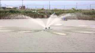 Mobile pond paddle wheel aerator works in shrimp farming pond [upl. by Rehpotsrhc]