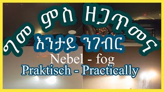 ግመ ምስ ዘጋጥመና እንታይ ንገብር Nebel  fog  Josiass Denden [upl. by Mendelson300]