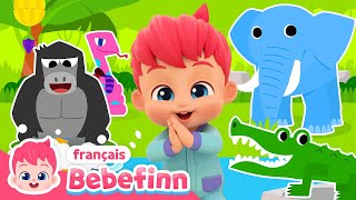 Le Boogie Dans La Jungle  Chanter avec Bebefinn  Bebefinn en français👶Chansons pour Enfants [upl. by Mollie548]