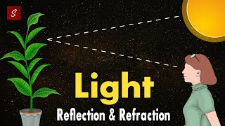 Light Reflection and Refraction Class 10 full chapter Animation  Class 10 Science Chapter 10 [upl. by Selden527]