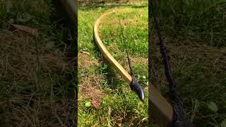 The Beauty of English Longbow 🏹 [upl. by Honor]