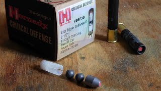 Hornady Triple Defense 410 Ammo Test [upl. by Mairhpe]