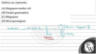 Embryo sac represents [upl. by Florella]