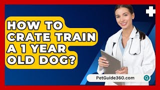 How To Crate Train A 1 Year Old Dog  PetGuide360com [upl. by Bum]