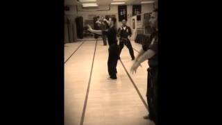 Northern Karate Schools Hakutsuruken [upl. by Nilesoy]