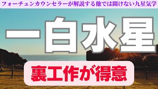 【『一白水星』は裏工作が得意⁉️】フォーチュンカウンセラーが語る九星気学 [upl. by Bambi]