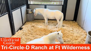 Tour of TriCircleD Ranch at Walt Disney World’s Fort Wilderness 4K [upl. by Birkle105]