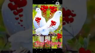 GOOD MORNING video [upl. by Landbert]