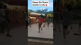 Papap Dol dj remix djremix dance remix2019 remix2020tiktok budotsdance viralvideo trending [upl. by Oakman]