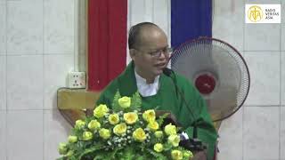 30th Week In Ordinary Time Homily by Fr Hyginus Myint Soe  29 10 2024 [upl. by Oiuqise695]