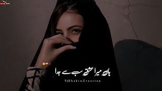 Noor e Jahan Aur Noor e Mohabbat💕Ishq Murshid Ost Status 💞ShahinCreation [upl. by Yttap]