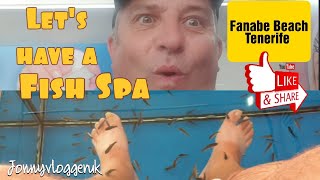 Fish Spa Treat Fanabe Beach Tenerife [upl. by Nnave]