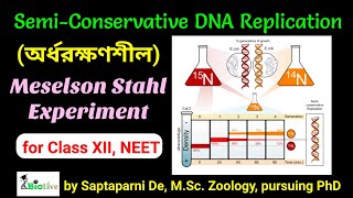 Meselson Stahl Experiment SemiConservative Mode of DNA Replication [upl. by Banna]