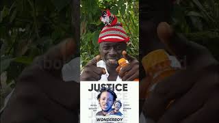 Wonderboy viralvideo wonderboy restinpeace rip justice nigeriagovernment [upl. by Khalil]