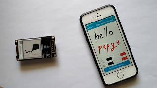 Papyr  Nordic nRF52840 based epaper display [upl. by Neltiak]