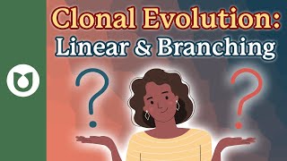 What are the 2 types of clonal evolution Is one considered more aggressive than the other myeloma [upl. by Ilojna349]