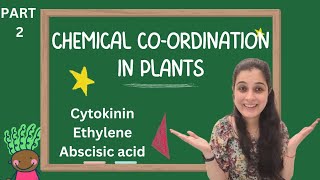 Chemical Coordination in Plants Part 2 🌿  Class 10 ICSE Concise Biology Chapter 7  DRUB [upl. by Ottillia322]