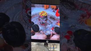 Ujjain ke Shiv shankar bholenaath ki jai ho mahakaal ki ujjain kaleshwaram shorts ytshort [upl. by Keele]