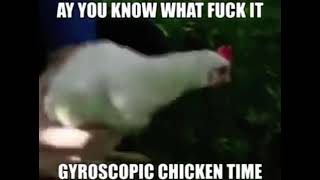 Gyroscopic chicken time [upl. by Treve404]