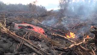 September 15th 2014 Lava Flow Heading to Pahoa [upl. by Zantos]