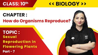 Class 10th BiologyHow Do Organisms Reproduce Part7 Sexual Reproduction in Flowering Plants Live [upl. by Llehsam456]