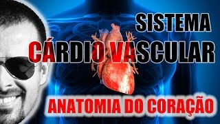 Sistema Cardiovascular  Coração Anatomia localização e envoltórios camadas  VideoAula 045 [upl. by Pauly]