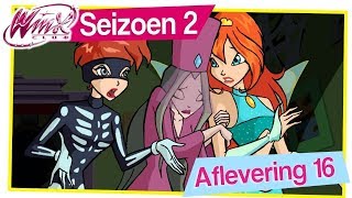 Winx Club  Seizoen 2 Aflevering 16  Hallowinx VOLLEDIGE AFLEVERING [upl. by Aneetsirhc543]