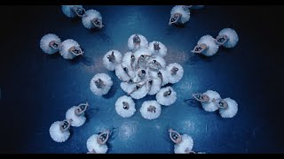 TEASER LE LAC DES CYGNES filmé pour IMAX bientôt au cinéma [upl. by Eanal]