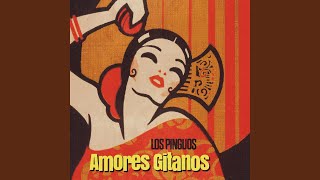 Amores Gitanos [upl. by Nitsud972]