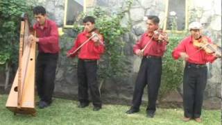 LIRIOS DE LLATA  Arpa y Violin Huamaliano  Huanuco [upl. by Boles]