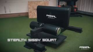 Primal Strength  Sissy Squat [upl. by Leirad]