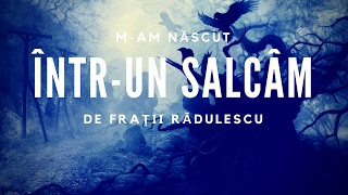 Fratii Radulescu  Mam născut întrun salcâm [upl. by Jangro]