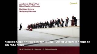 Academia Allegro Vivo Bijan KhademMissagh ft Matthias Schorn Wolfgang Holzmair [upl. by Airamak]