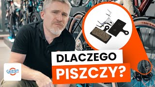 Dlaczego TWÓJ rower piszczy Sprawdź co może być problemem  KRÓLESTWO ROWEROWE [upl. by Enyledam]