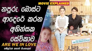 නපුරු බොස් ගේ ක්‍රශ් එක😡 Are We In Love Movie Explained in Sinhala  SO WHAT SL Review  MovieRecap [upl. by Ingelbert]