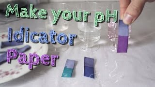 Make Your Own pH indicator paper with Red Cabbage juice [upl. by Essy879]