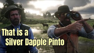 Still Works  Silver Dapple Pinto Missouri Fox Trotter  Arcadia for Amateurs  RDR2 [upl. by Wade]