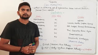 TerpenesPlants Secondary MetabolitesCSIR NET Part1 in Hindi [upl. by Summons]