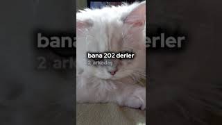 Bana 202 derler😌 [upl. by September]