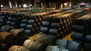 Andalucía  Jerez de la frontera  Bodegas Valdespino [upl. by Ettezil]