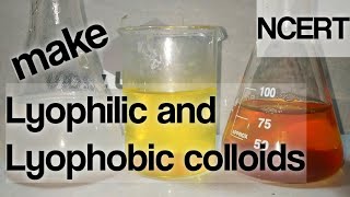 Colloids Preparation of Lyophilic and Lyophobic Colloids NCERT [upl. by Rasaec427]