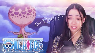 Goodbye Skypiea One Piece React 186195 [upl. by Gorrono]