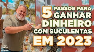 5 passos para GANHAR DINHEIRO com SUCULENTAS em 2023 [upl. by Mordecai]