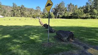 Bendeela campground Bundeena nsw Walk along [upl. by Grimonia]