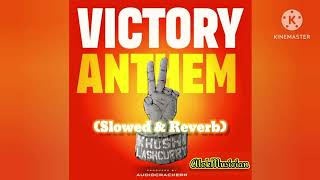 VICTORY  ANTHEM  Slowed amp Reverb 🤬 AlokMusician √ Badi baat cheat industry ke logo se [upl. by Brouwer900]