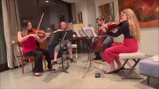 Gershwin Lullaby with Jana Kaminsky viola [upl. by Robins97]