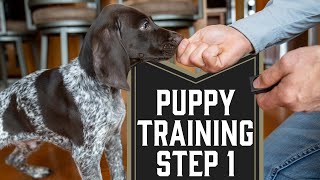 First Step To Training A Puppy [upl. by Analim]