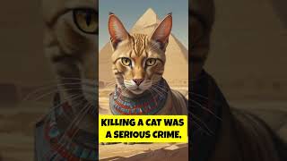 Why Ancient Egyptians Worshiped Cats cat felinehistory petlovers animals egypt [upl. by Diarmit320]