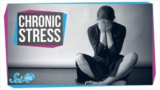 How Chronic Stress Harms Your Body [upl. by Aihsiym652]