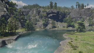 Red Dead Redemption 2 Ambiance Dodds Bluff [upl. by Letch]